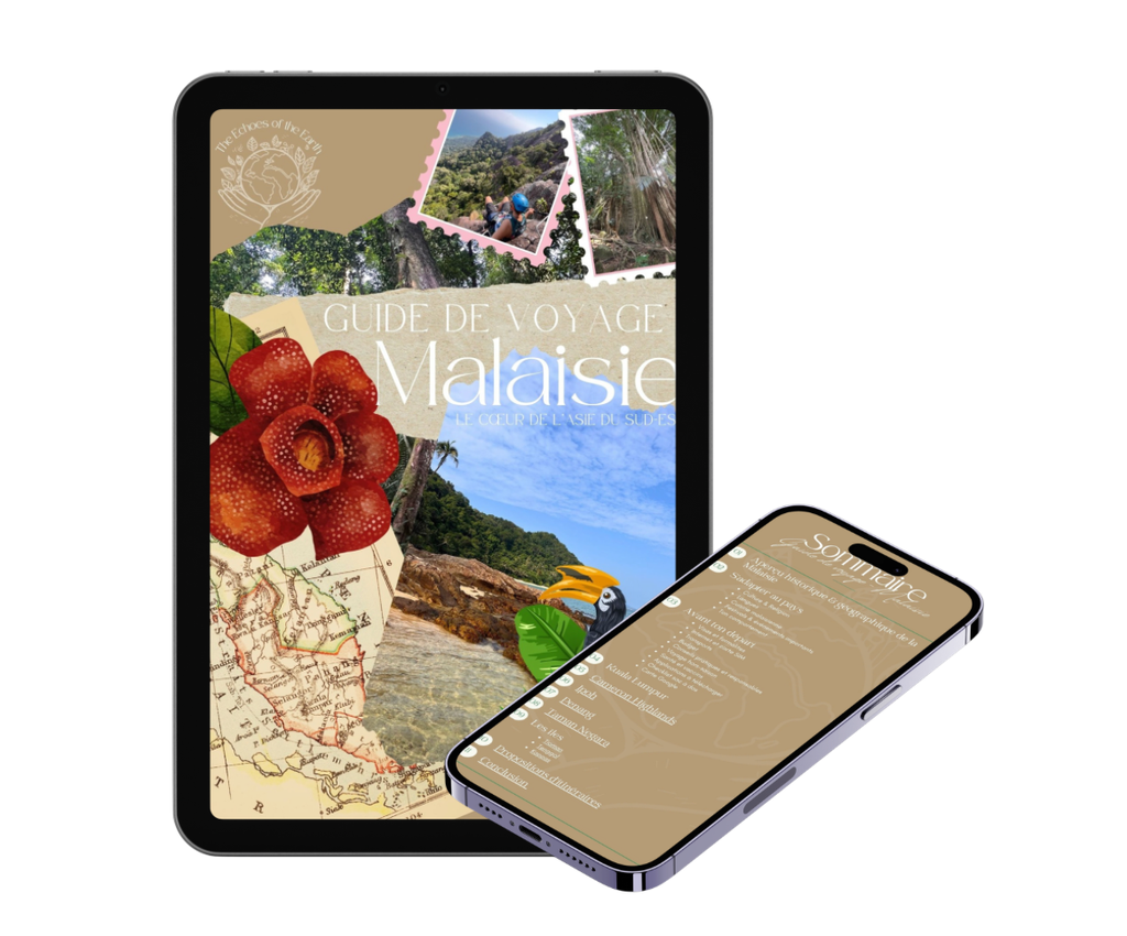 Ton guide complet pour voyager en Malaisie (FR)